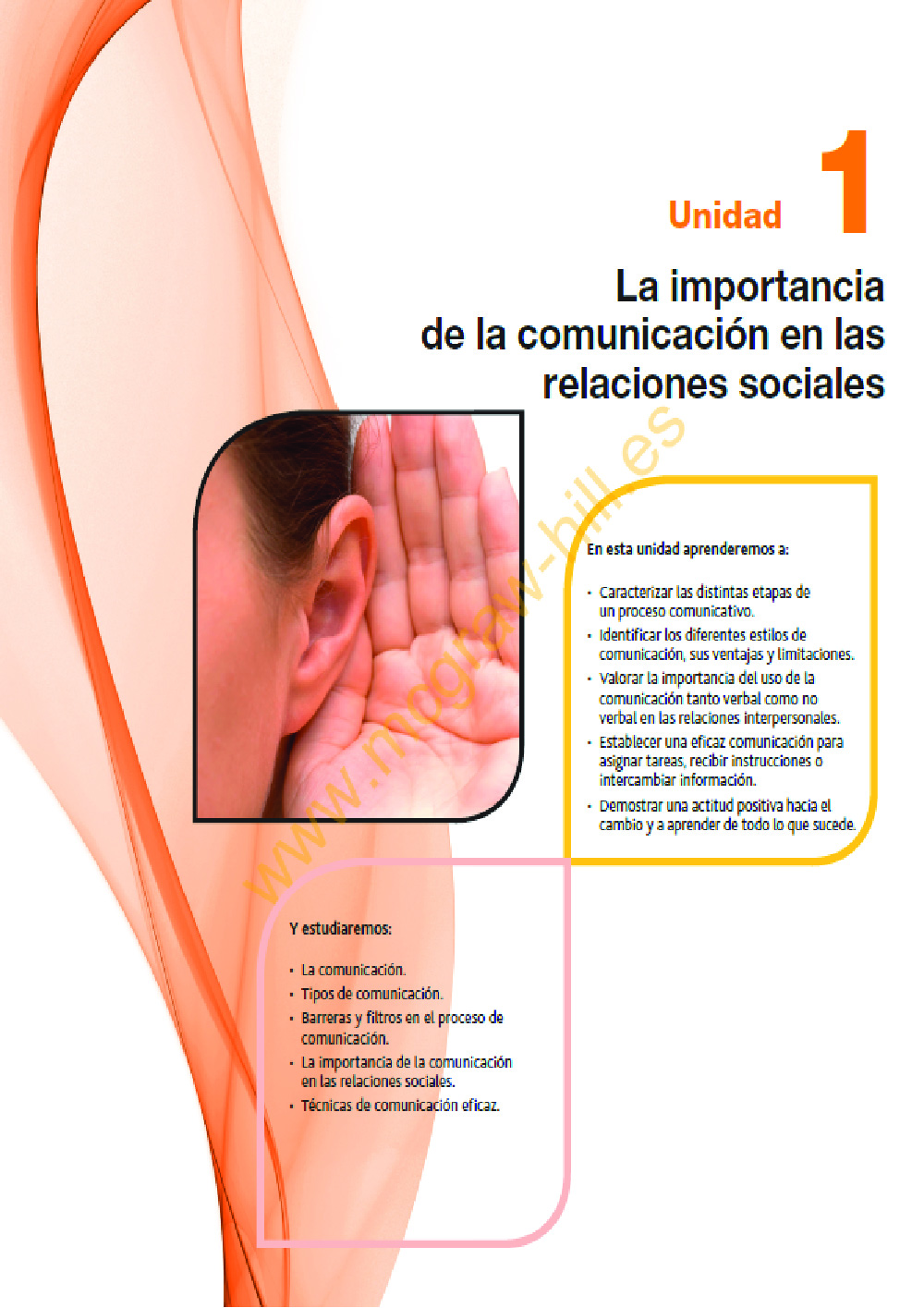 Curso La Importancia de la Comunicacion en las Relaciones Sociales